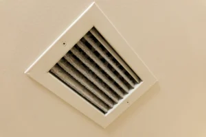 black mold in ac unit