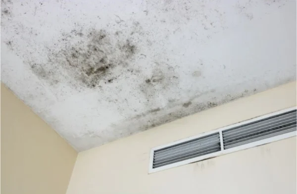 Do Air Purifiers Help With Mold? Expert HVAC Advice